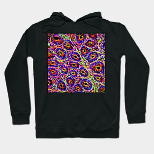 Intestinal villi, fluorescent micrograph (C024/3480) Hoodie